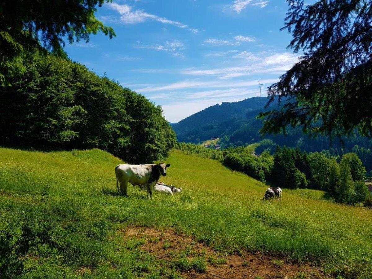 Hotel Walkenstein Oberwolfach Bagian luar foto