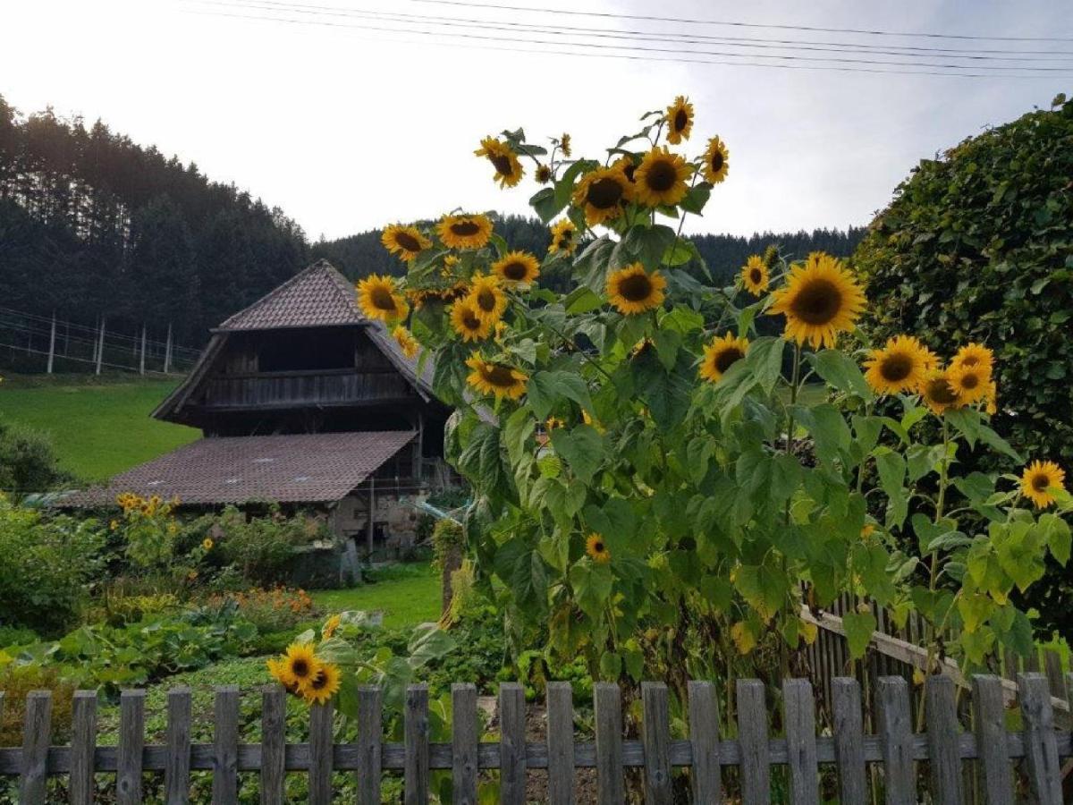 Hotel Walkenstein Oberwolfach Bagian luar foto